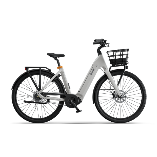 Ecoride Ambassador 4
